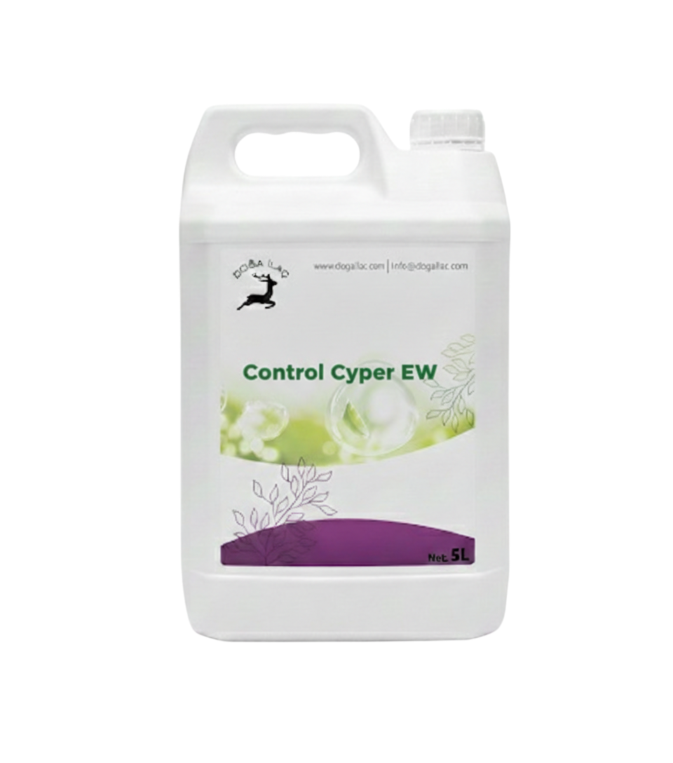 Control Cyper EW
